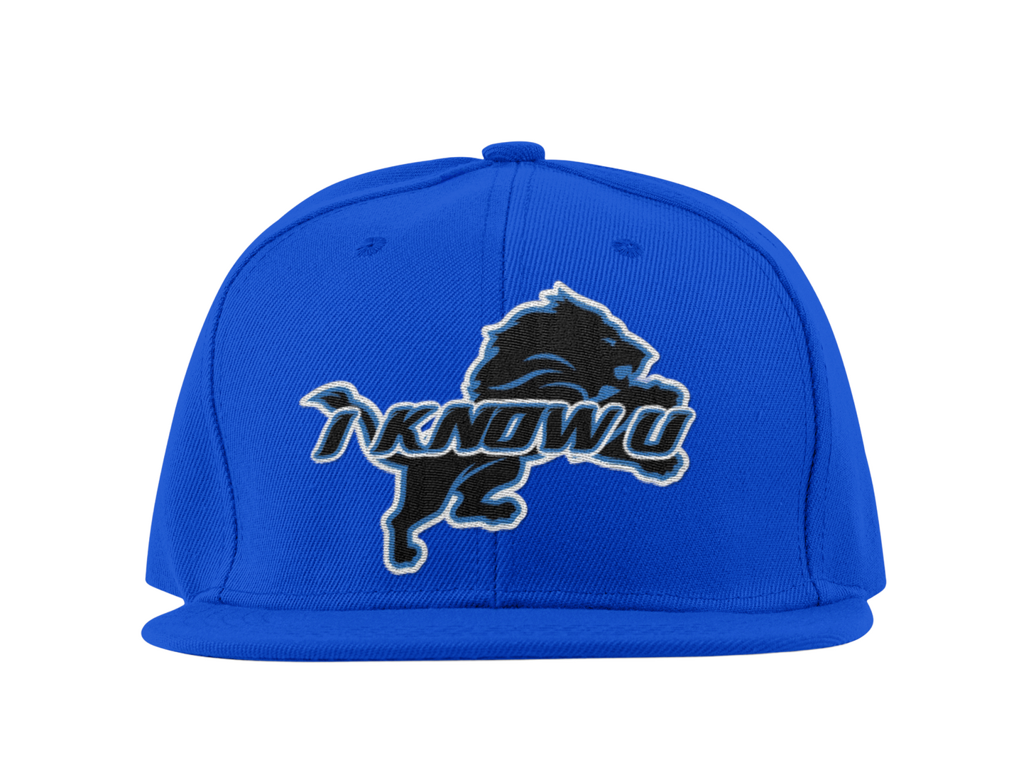 Hat (Blue) (Snap back)