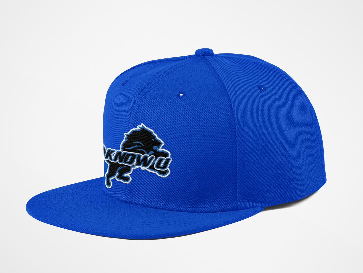 Hat (Blue) (Snap back)